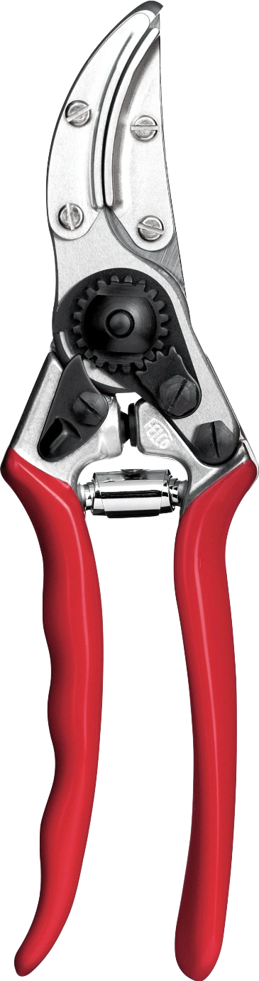Felco Nr.100
