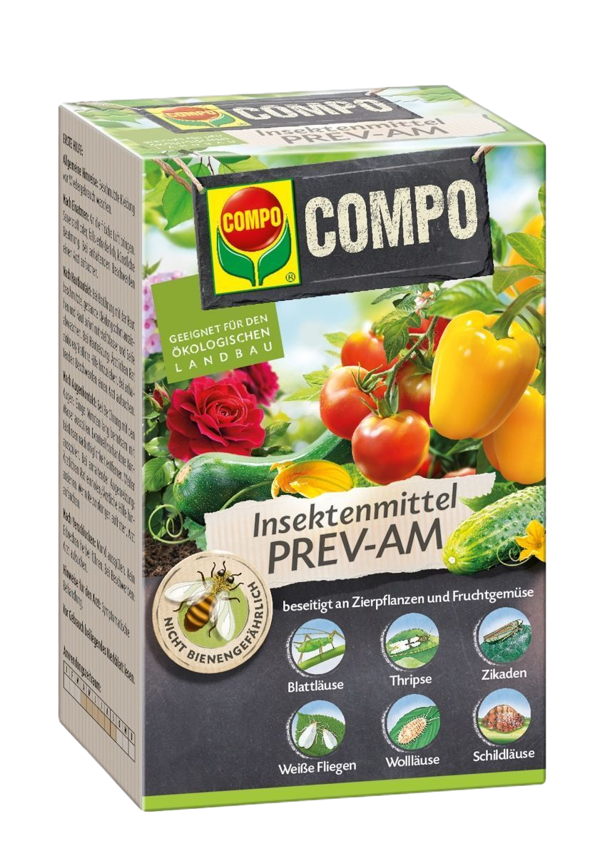 COMPO Prev-AM COMPO Prev-AM