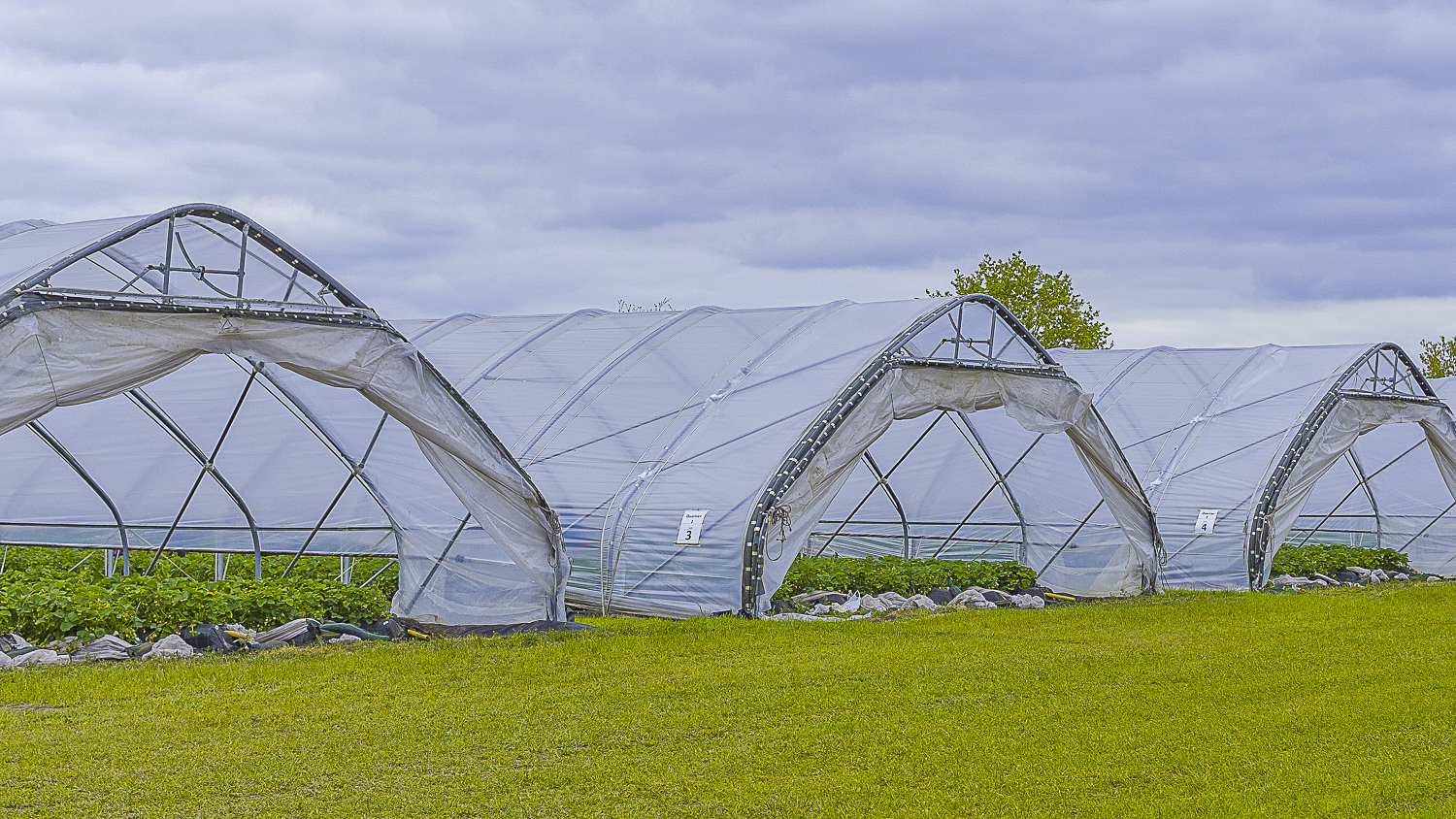 UV M 42 window plus UV M 42 window plus