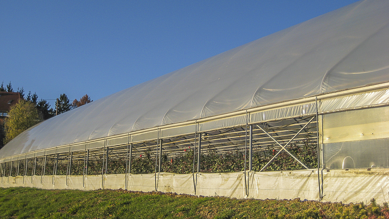 Lumitherm / UV5