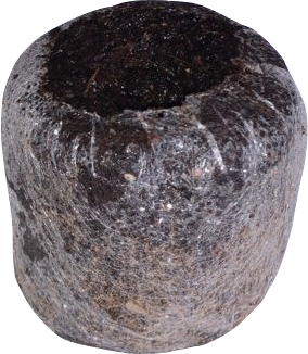 Jiffy Torfquelltöpfe aufgequollen