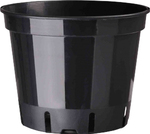 Töpfe von CEP