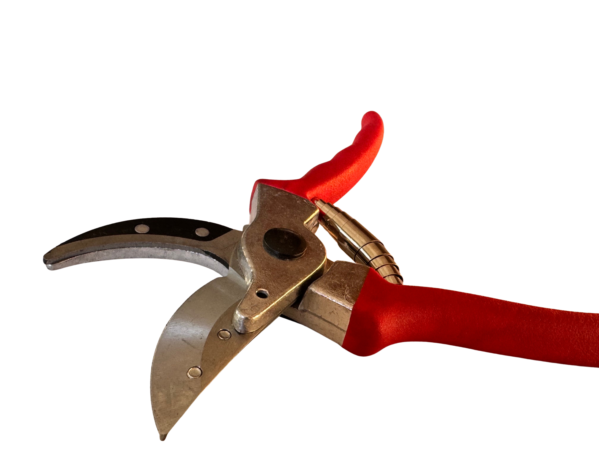 Rote Präsentierschere mit geöffneter Bypass-Klinge und mechanischer Haltebacke aus Stahl
