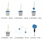 Anwendung Blumenfarbe