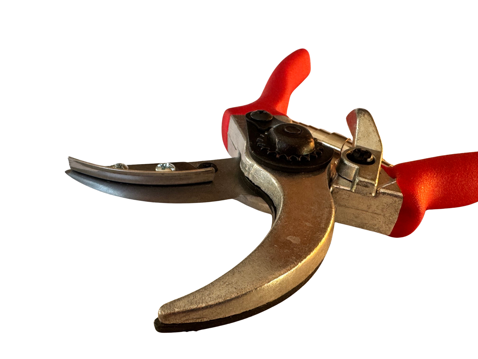 Präsentierschere rot mit gehärteter Stahlklinge und Cut-Hold-Greifbacken