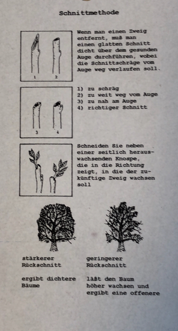 Floristen-, Gärtnermesser