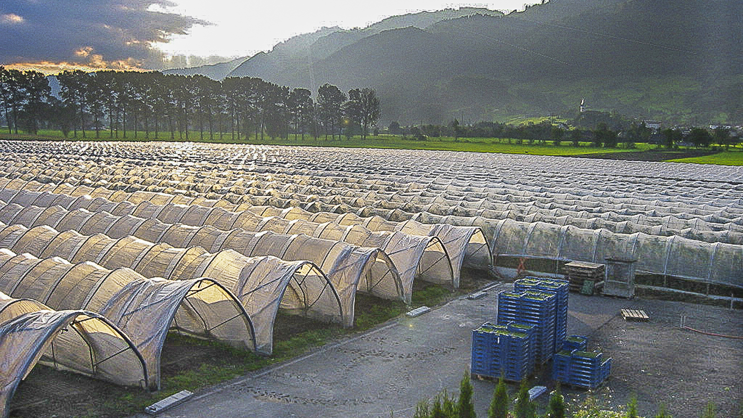 Lumitherm / UV5
