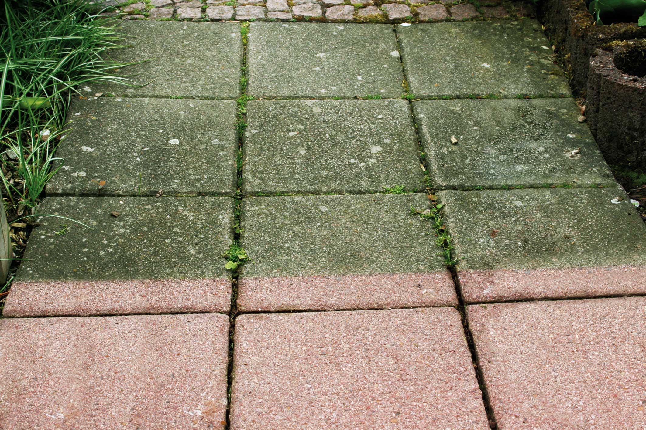 Grünbelagentferner Hotrega Einatzbild Grünbelagentferner Hotrega Einatzbild