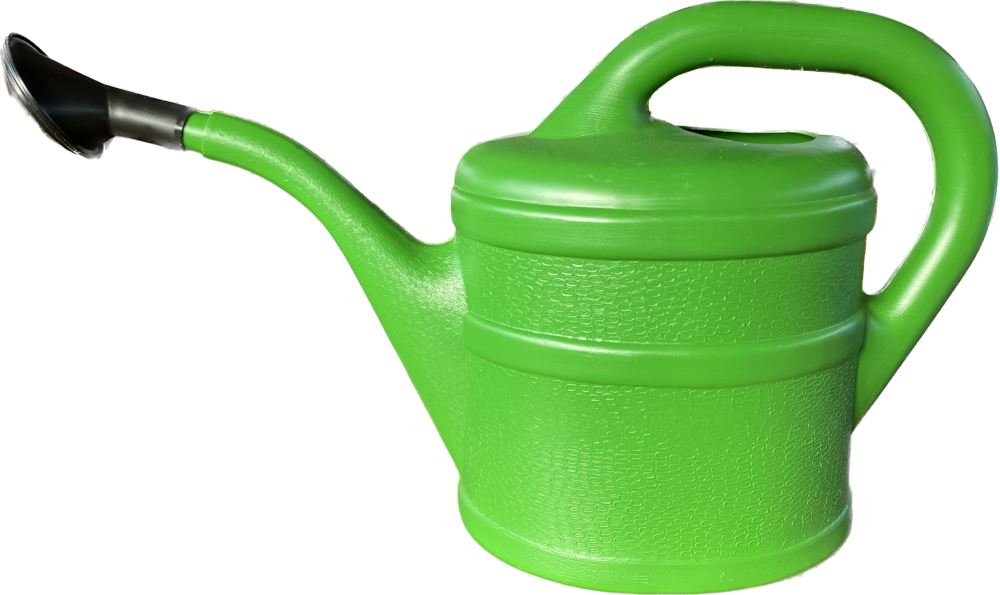 Giesskanne grün Giesskanne grün