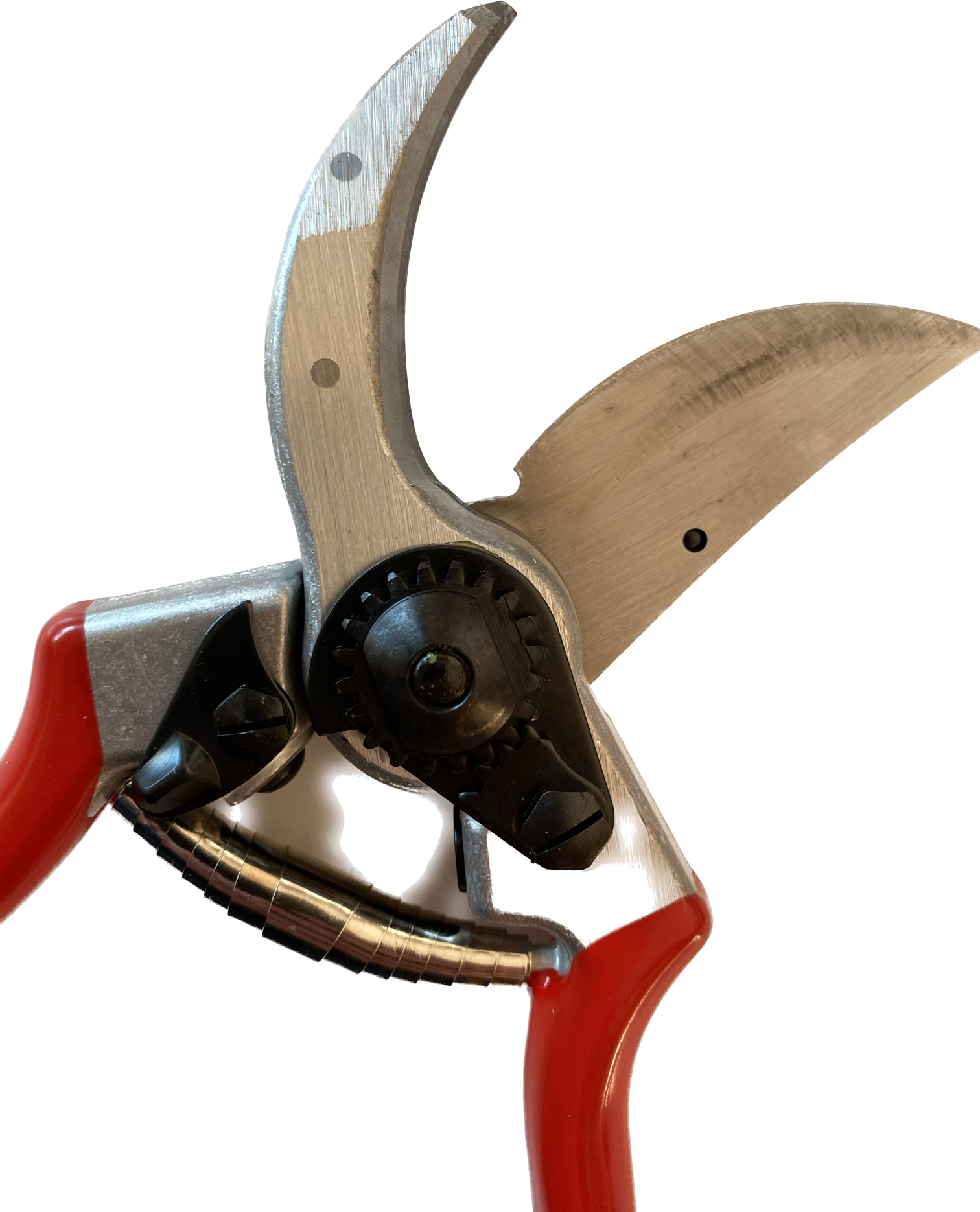 Felco_Nr2